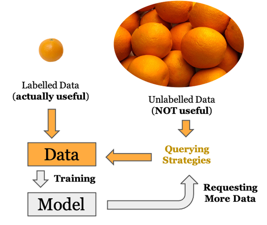 Active Learning